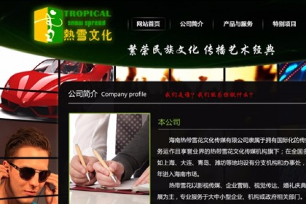 海南热带雪花文化传媒有限公司