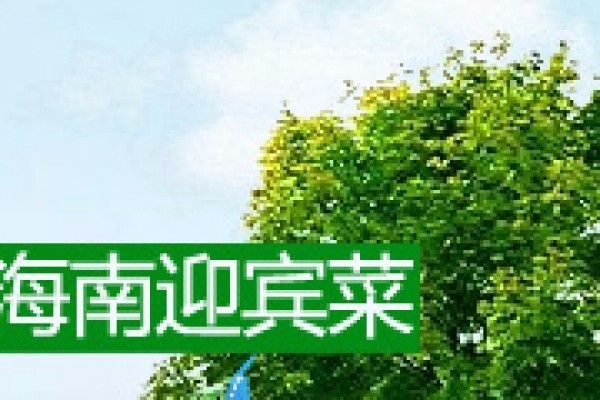 海南迎宾菜