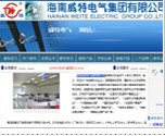 海南威特电气集团有限公司