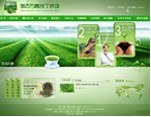 澄迈万昌苦丁茶场