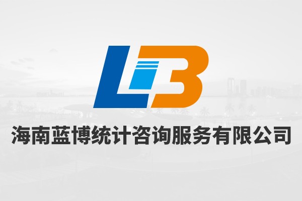 海南省蓝博统计咨询服务有限公司